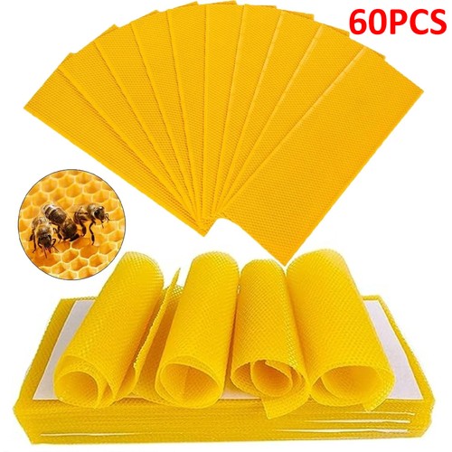 60pcs beekeeping nest box - beekeeping,