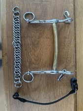 Neue Schule Weymouth Dressage