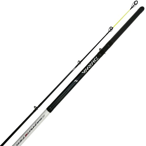Daiwa seahunter beachcaster - z,