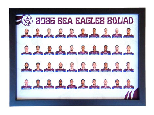 Framed 2025 manly sea - 2025, eagles
