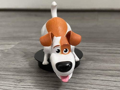 Secret life pets - of, dog