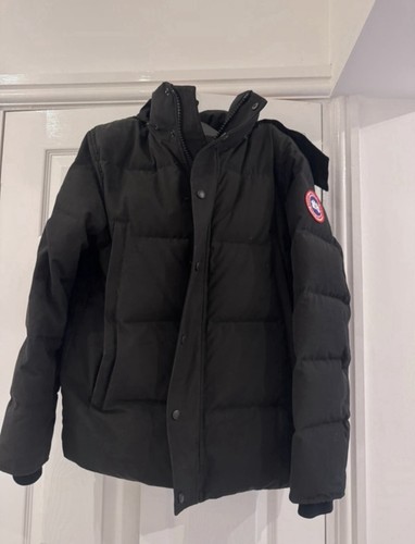 Canada goose arctic program - canada,