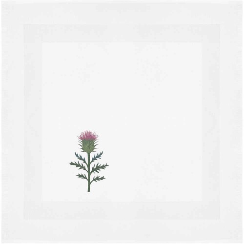 Single scottish thistle - scottish, thistle'