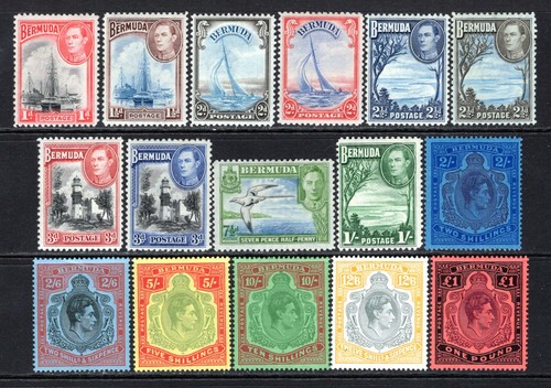 Bermuda kgvi set - (127),