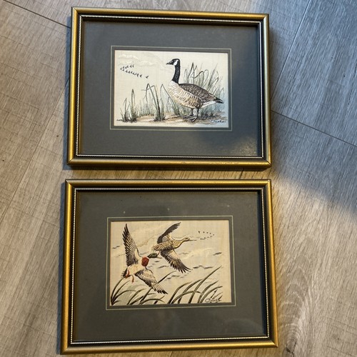 Canada goose mallard pair - canada,