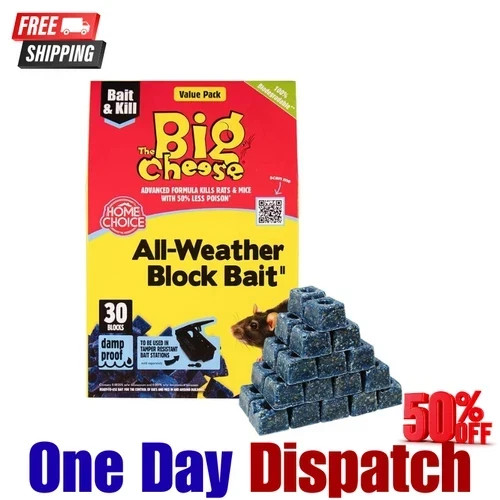 Blocks stv big cheese - blocks,