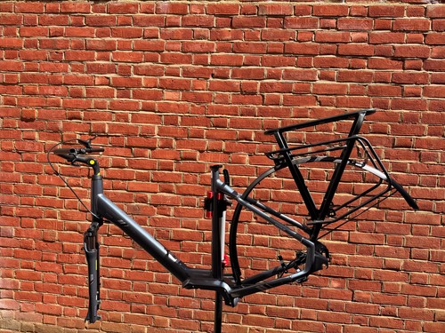 Giant entour electric - giant,