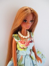 Palitoy Pippa doll Topper Dawn -Marie Princess OOAK & outfit