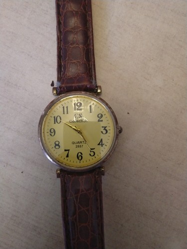 Nice watch needs little bit - nice,