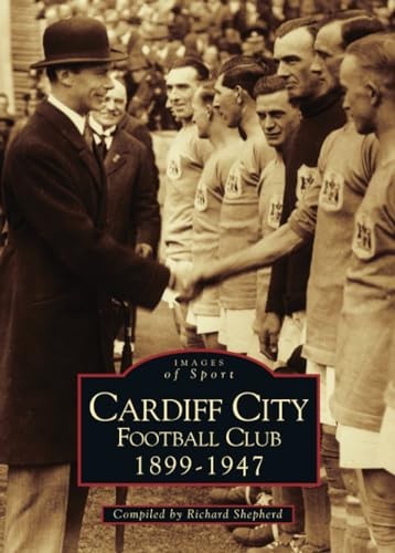 Cardiff city football club - football,