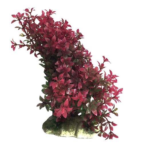 Swell red trailing leaves - red,