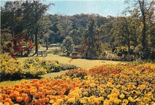 Picture Postcard__Harrogate, Harlow Car Gardens, Trials Area (Marigolds)