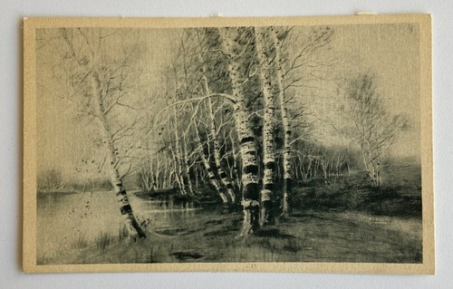 Antique postcard riverbank - antique,