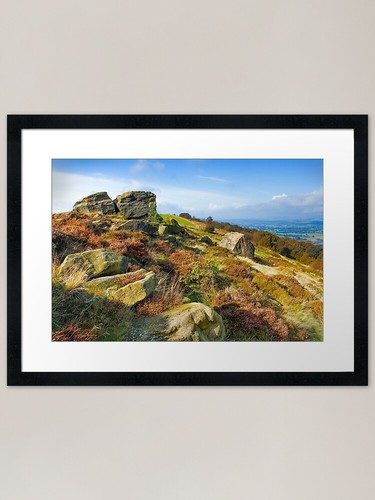 Otley chevin surprise - chevin,