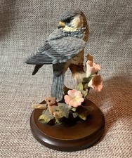 Country Artists Peregrine