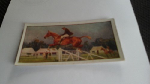 Turf cigarettes horses - horses, and