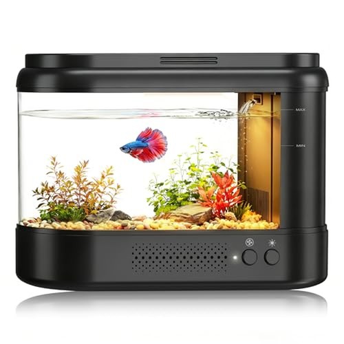 Betta fish tank - betta,
