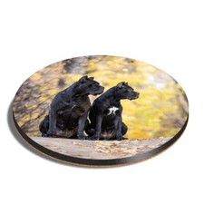 Round mdf coaster cane - mdf,