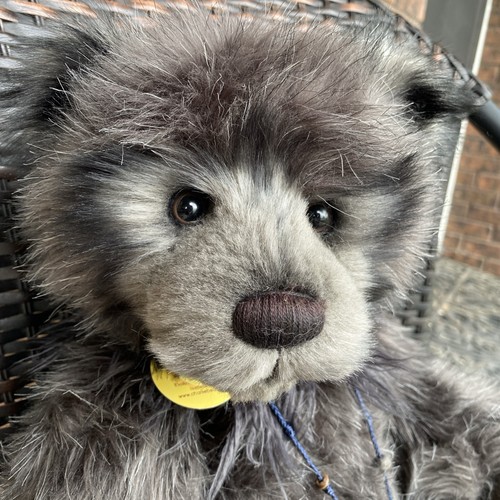 Charlie bears dreamer - bears, “dreamer”