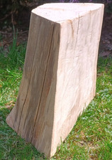 Log side table tree stump