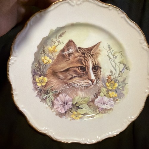 Royal vale bone china cat - china,