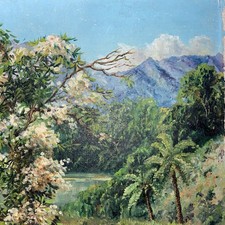 Original Oil South African Landscape Signed Jan Van Weerden Tree In Bloom River