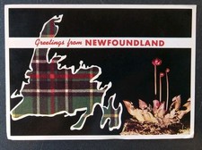 Postcard Greetings From New