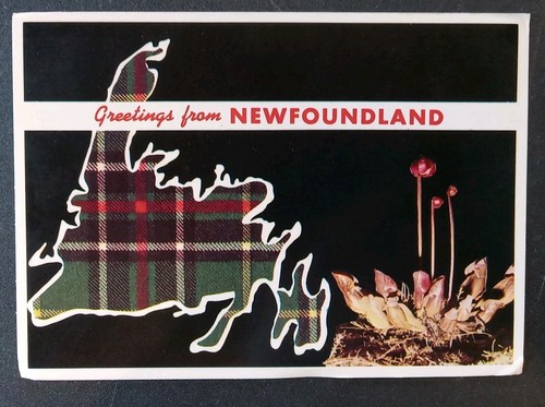 Postcard greetings from new - greetings,