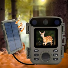 Trail Camera Practical Camping