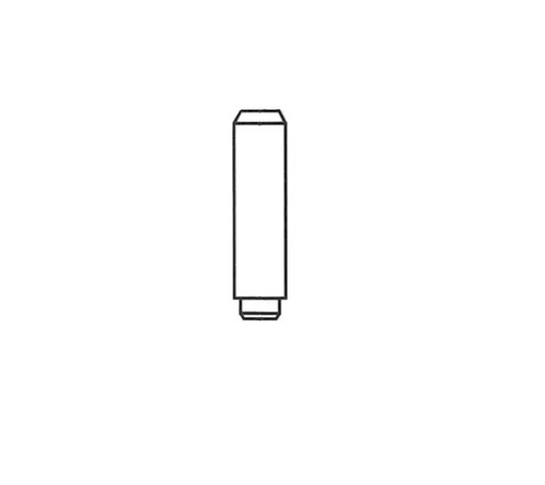 Valve guide for inlet valves