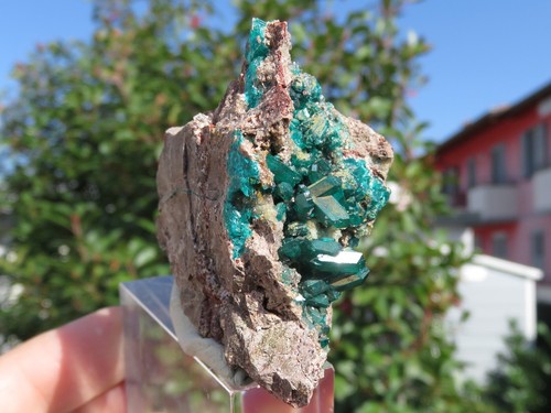 Green dioptase matrix - green,
