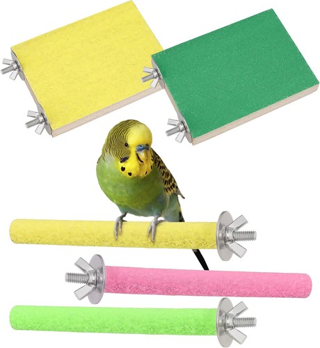 Pack parrot budgie perch - parrot,