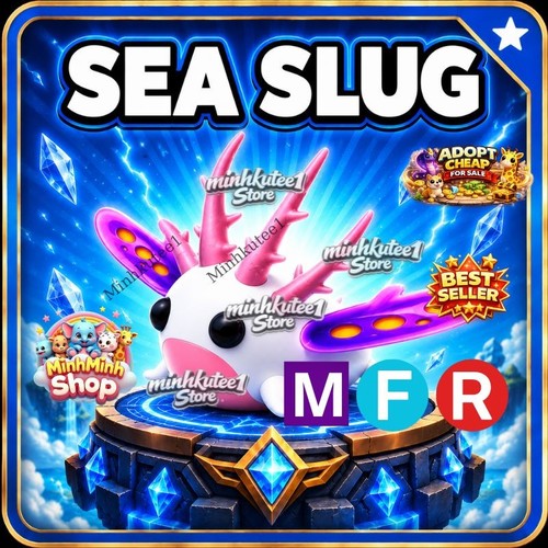 Sea slug adopt - sea,