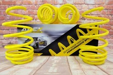 Apex lowering springs for Seat