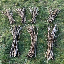 30x 55cm hybrid willow - 55cm,