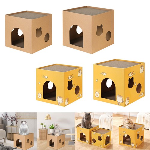 Cat box cats - box, pet
