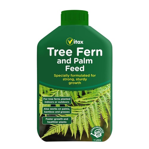 Tree fern palm - fern, feed