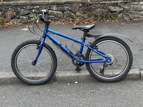Raleigh kids bike - 20, inch