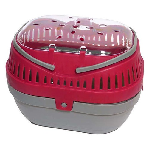 Rosewood small animal pet - animal,