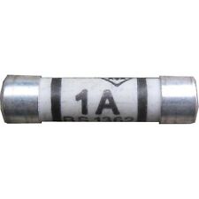 1A DOMESTIC HOUSEHOLD FUSES FUSE PLUG MAINS 1 AMP CARTRIDGE 10 25 50 100 500