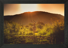 Landscapes of South Africa