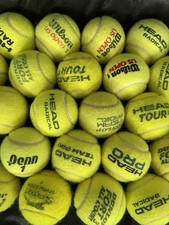 15 Used Tennis Balls for Dogs