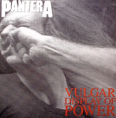 Pantera vulgar display of - pantera,