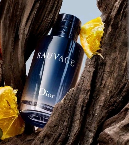Christian dior sauvage eau - christian,