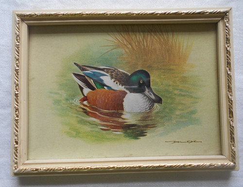 Vintage small framed mallard - vintage,