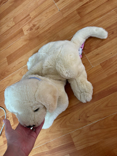 Andrex cream dog plush soft - cream,