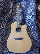 Ashton acoustic guitar! Right handed! 4/4! Custom design! 6 string!