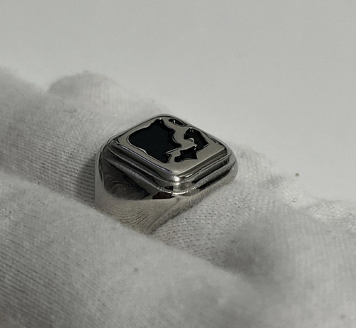 Steel signet ring - steel, highest