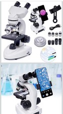 Binocular Microscopes
