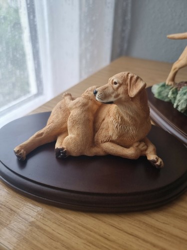 Labrador with pups and - with,